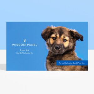 "OREBA REGISTRY KENNEL CLUBS INC Wisdom Panel™ Essential"
